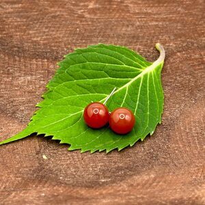 Carnelian Sterling Silver Stud Earrings 925 Red Orange Gemstone Ball Studs